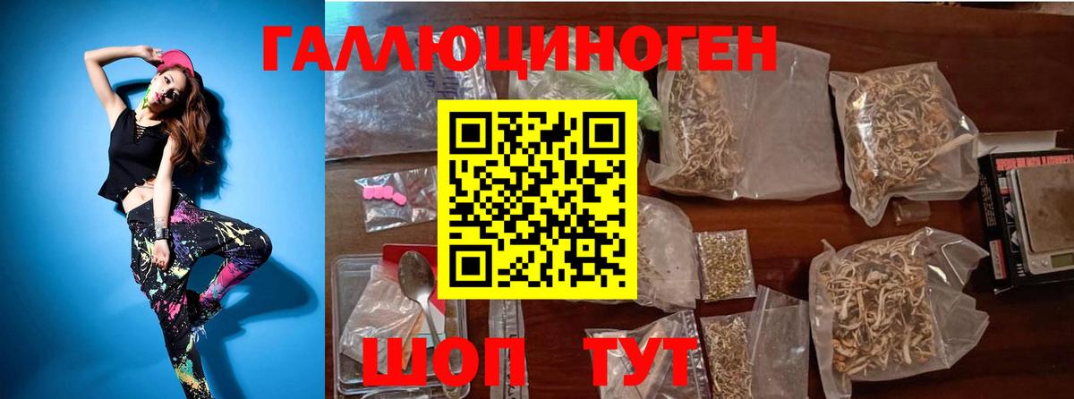 Псилоцибиновые грибы прущие грибы  Вход с VPN  Королёв 