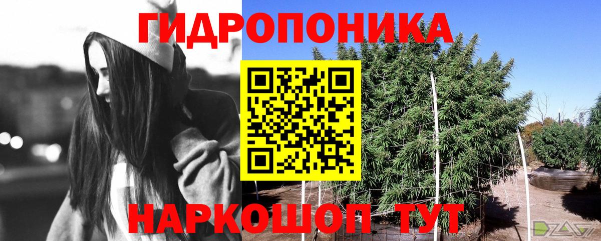 Бошки марихуана Bruce Banner  МАРИХУАНА THC 21%  Королёв  Вход с VPN  Каннабис OG Kush 